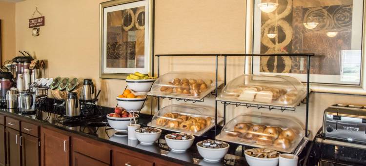 辛辛那提东门舒适套房酒店(Comfort Inn & Suites Cincinnati Eastgate)图片