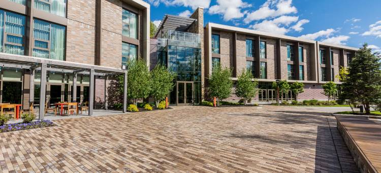 哈德逊上的风玫瑰(Windrose on Hudson)图片