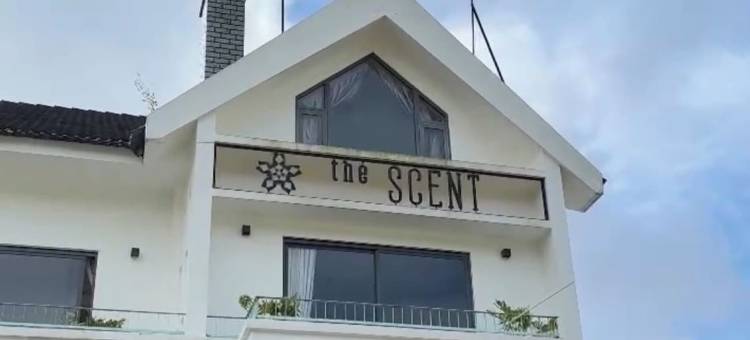 大叻香氛精品酒店(The Scent Boutique Dalat Hotel)图片