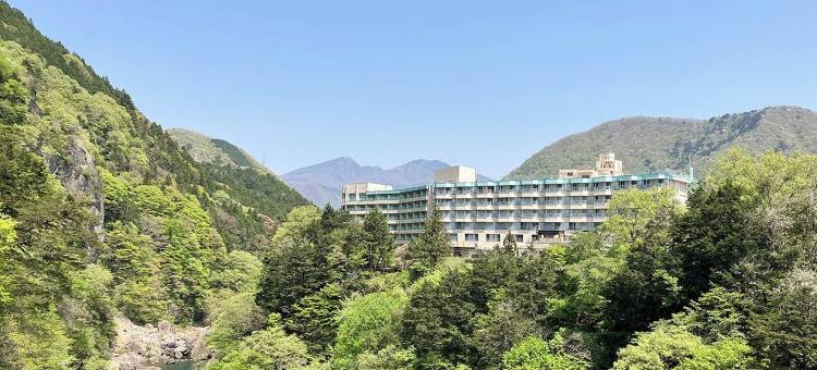鬼怒川皇家酒店(Kinugawa Royal Hotel)图片