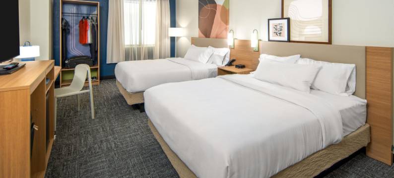 Spark by Hilton Milford Boston图片