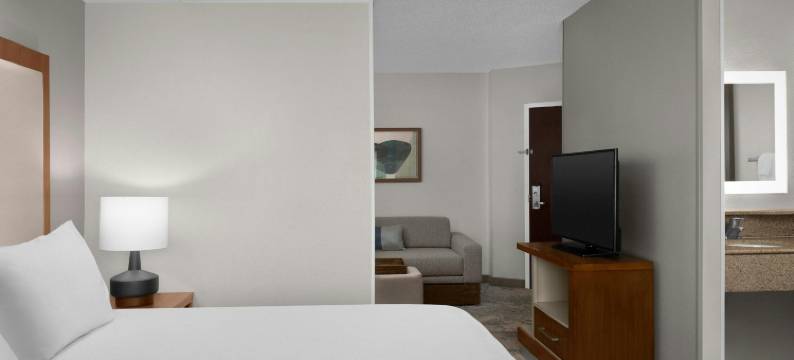 林奇堡机场-大学区万豪SpringHill酒店(SpringHill Suites Lynchburg Airport/University Area)图片