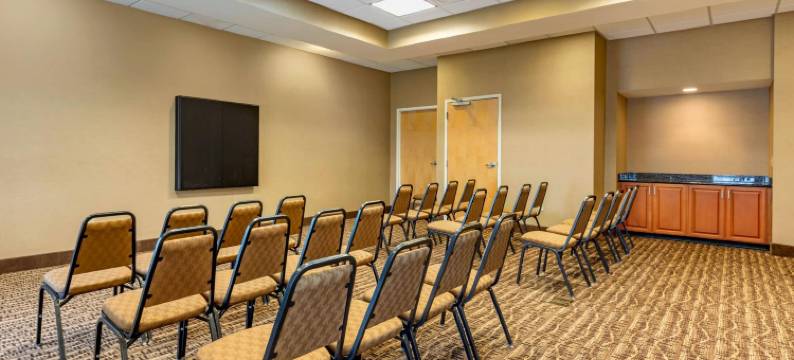 舒适套房酒店(Comfort Suites Smyrna)图片