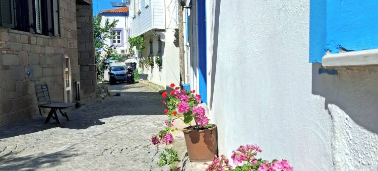 乌穆特海洋客栈(Umut Denizi Konukevi)图片