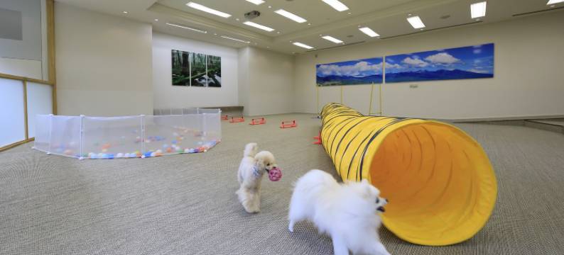 Yutorelo蓼科酒店 with爱犬(Yutorelo Tateshina Hotel with Dogs)图片