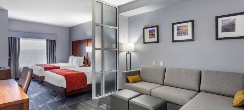 奥利夫布兰奇西舒适套房酒店(Comfort Suites Olive Branch - Memphis South)图片