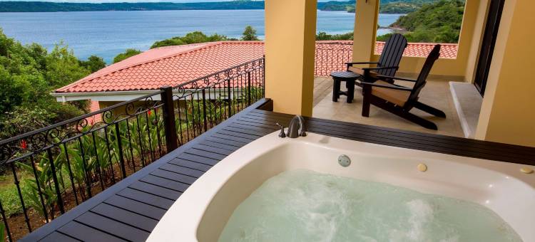 西帕帕加约酒店-限成人-全包(Occidental Papagayo - Adults Only All Inclusive)图片