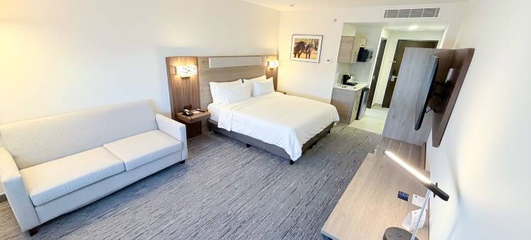 Holiday Inn Express & Suites LOS MOCHIS CENTRO by IHG图片