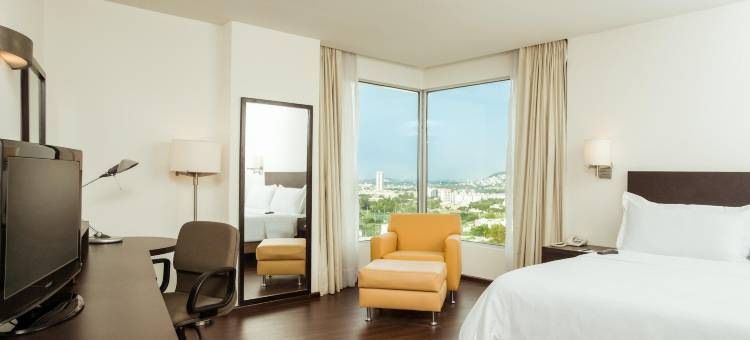 蒙特雷泰科诺嘉年华酒店(Fiesta Inn Monterrey Tecnologico)图片