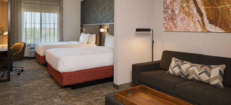 特洛克 SpringHill Suites 酒店(SpringHill Suites Turlock)图片