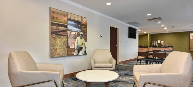 哥伦比亚Harbison万豪国际万枫酒店及套房(Fairfield by Marriott Inn & Suites Columbia Harbison)图片