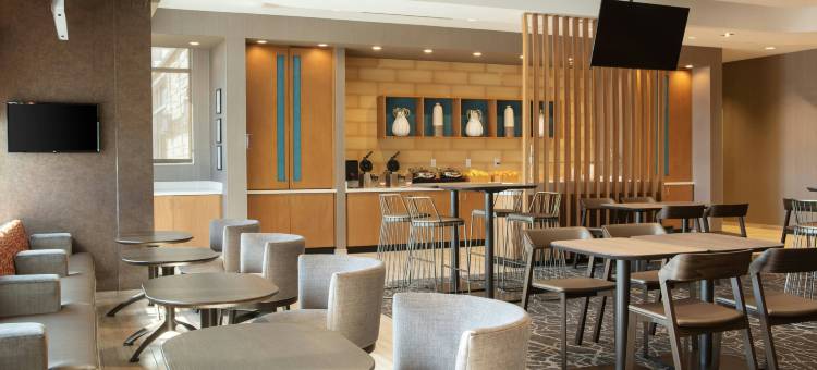 埃姆斯SpringHill Suites酒店(SpringHill Suites Ames)图片