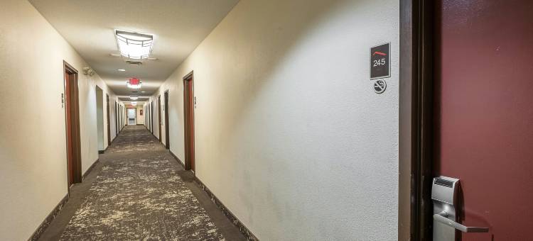 托莱多红屋顶酒店 - 莫米(Red Roof Inn Toledo - Maumee)图片