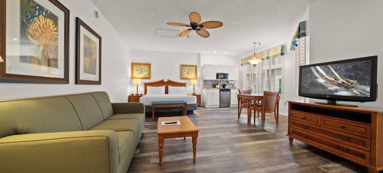 Holiday Inn & Suites 清水湾泳滩南(Holiday Inn & Suites CLEARWATER BEACH S-HARBOURSIDE by IHG)图片