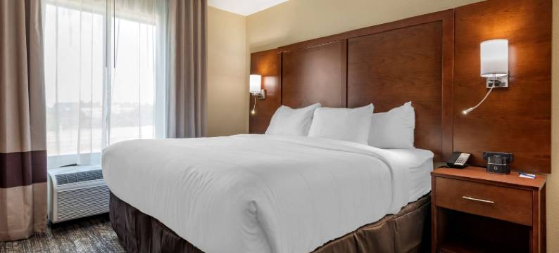 舒适套房酒店(Comfort Suites)图片