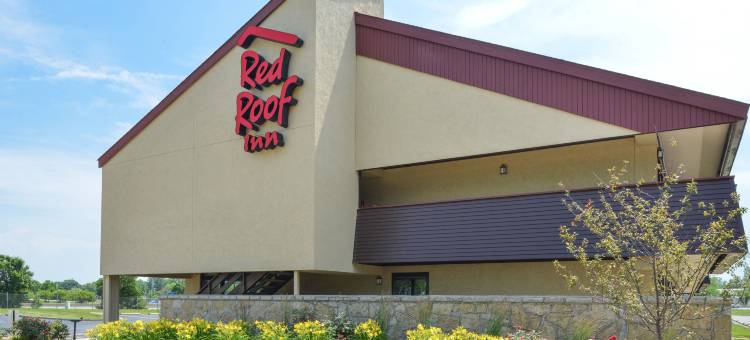 尚佩恩大学红顶酒店(Red Roof Inn Champaign - University)图片