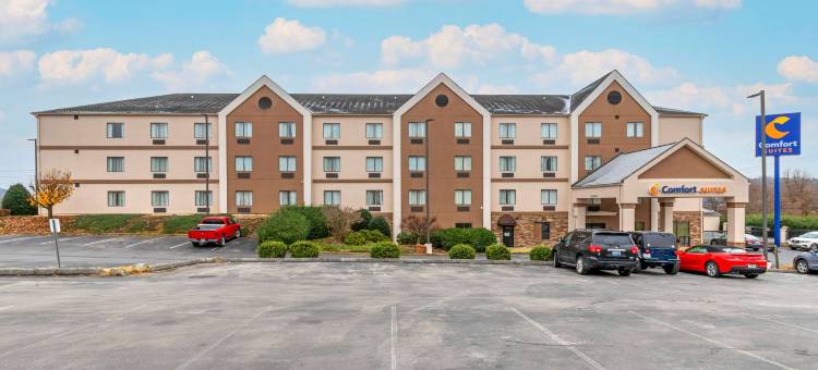 约翰逊城舒适套房酒店-近大学城(Comfort Suites Johnson City Near University)图片