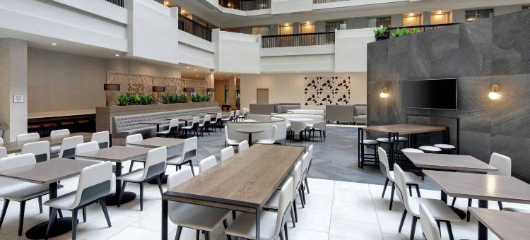 亚特兰大周界中心希尔顿大使套房酒店(Embassy Suites by Hilton Atlanta Perimeter Center)图片