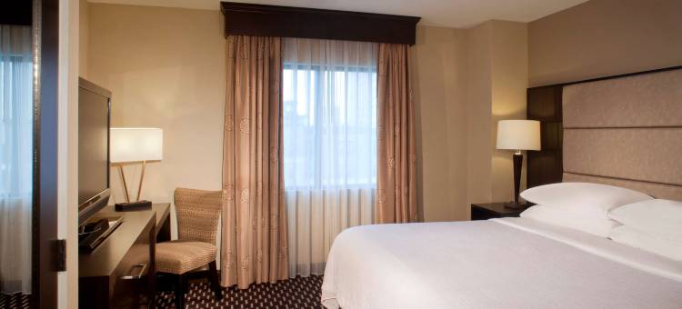 休斯顿希尔顿安泊套房酒店-近加勒里亚(Embassy Suites by Hilton Houston Near the Galleria)图片