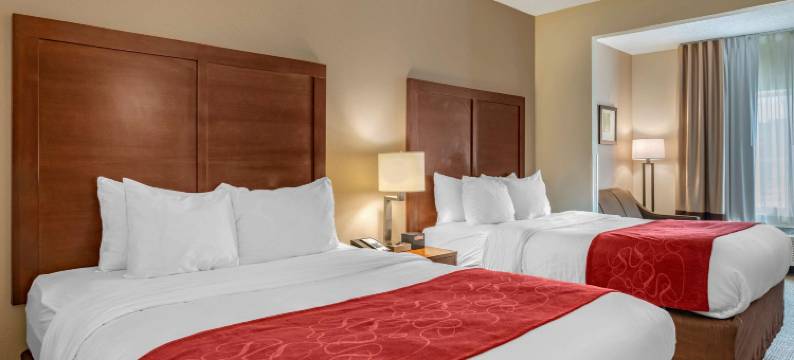 舒适套房酒店-哥伦布西希利厄德(Comfort Suites Columbus West - Hilliard)图片