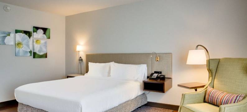 北休斯敦斯普林希尔顿花园酒店(Hilton Garden Inn North Houston/Spring)图片