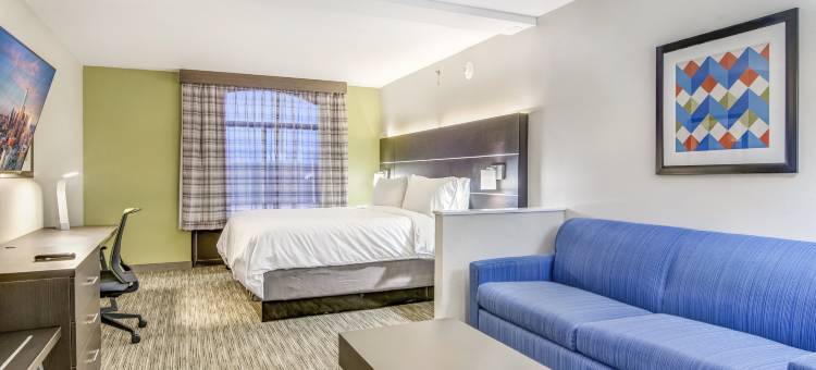 洲际酒店集团智选假日酒店及套房朗维尤北(Holiday Inn Express & Suites Longview North)图片