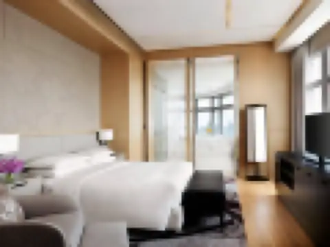 兩卧室城景總統套房