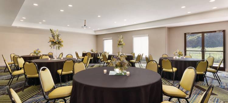 拉伏尼亚智选假日酒店(Holiday Inn Express & Suites Lavonia)图片