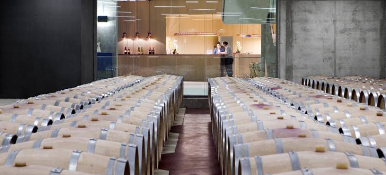 博德加芬卡洛斯阿迪诺斯酒店(Hotel-Bodega Finca de Los Arandinos)图片