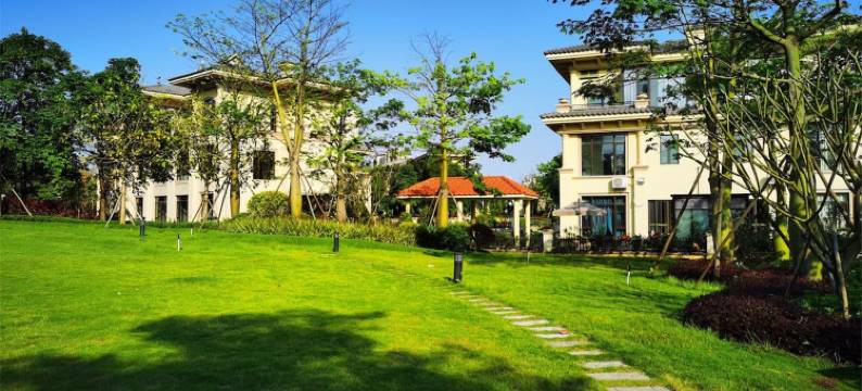 别墅之家自驾游(骆坑口大桥分店)图片