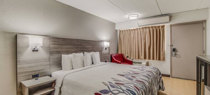 哥伦比亚东红顶酒店-杰克逊堡(Red Roof Inn Columbia East - Ft Jackson)图片