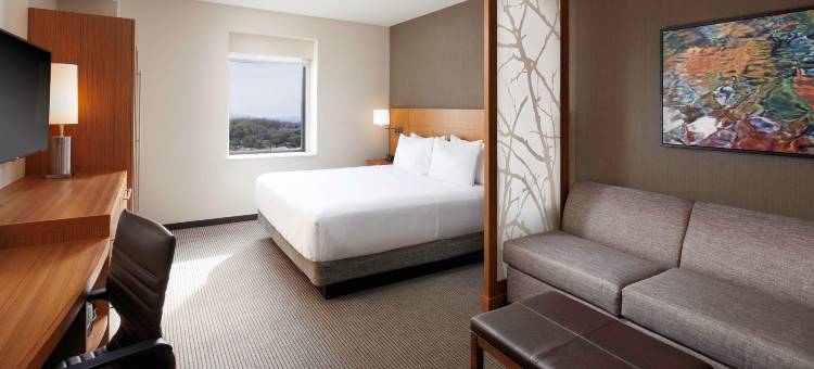 诺克斯维尔/市区凯悦嘉轩酒店(Hyatt Place Knoxville/Downtown)图片