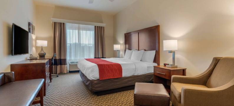 机场舒适套房酒店(Comfort Inn & Suites Airport)图片