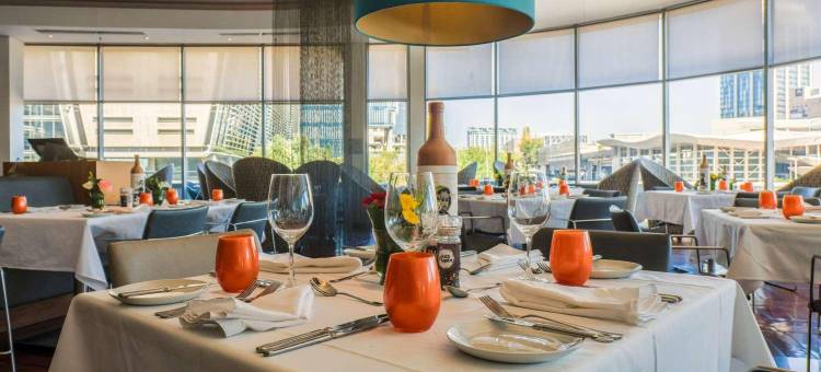 约翰内斯堡桑顿高特雷恩丽笙酒店(Radisson Blu Gautrain Hotel, Sandton Johannesburg)图片
