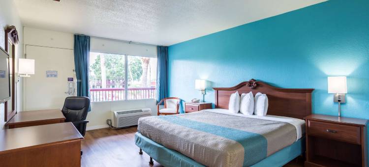 威基沃奇斯普林西尔6号汽车旅馆(Motel 6 Spring Hill, FL - Weeki Wachee)图片