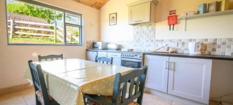 杜恩安格斯农场韦斯特波特豪华野营(Westport Glamping at Doon Angus Farm)图片