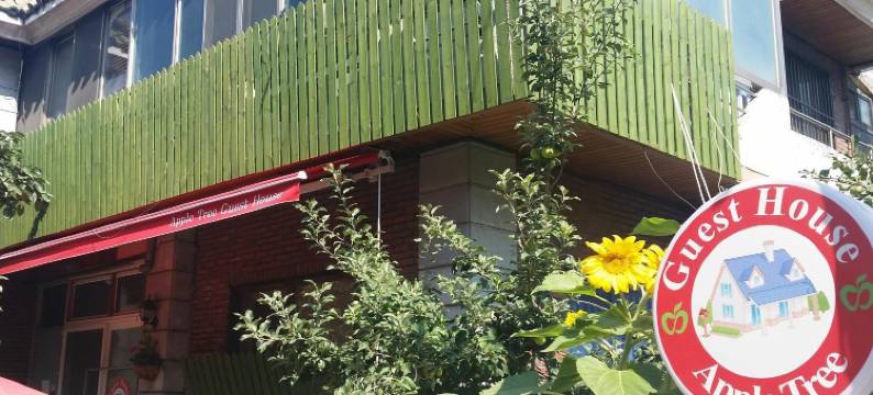 苹果树旅馆(Appletree Guesthouse)图片