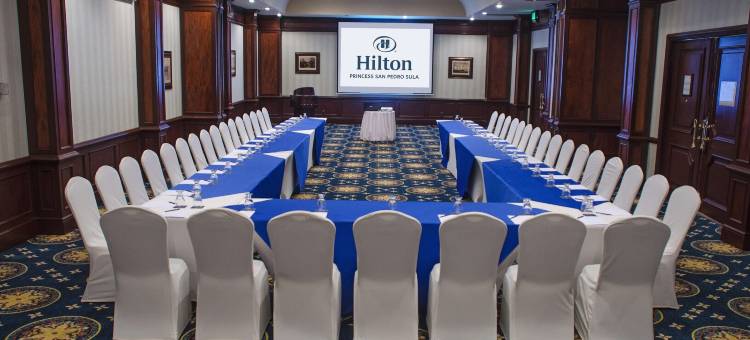 希尔顿圣佩德罗苏拉公主酒店(Hilton Princess San Pedro Sula)图片