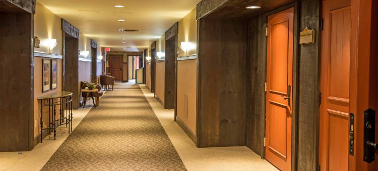 特朗布朗特智选假日套房酒店(Holiday Inn Express & Suites Tremblant)图片