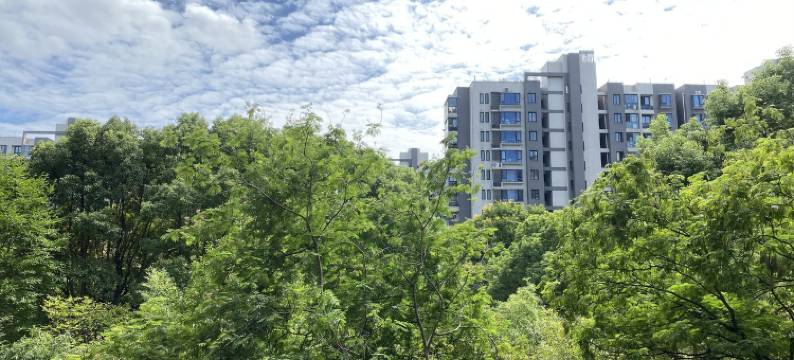 木木的家奈斯公寓(联航路分店)图片