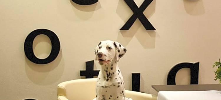 斯图加特放松酒店(Relexa Hotel Stuttgarter Hof)图片