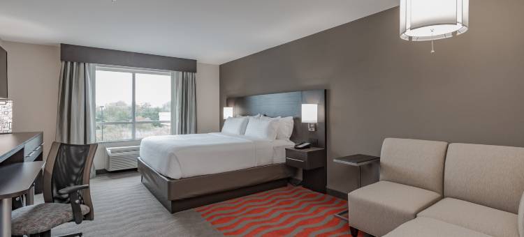 Holiday Inn 米沙沃卡(Holiday Inn Mishawaka - Conference Center)图片