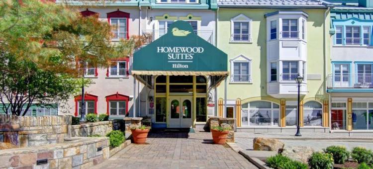 蒙特朗布朗度假胜地Homewood Suites by Hilton(Homewood Suites by Hilton Mont-Tremblant Resort)图片