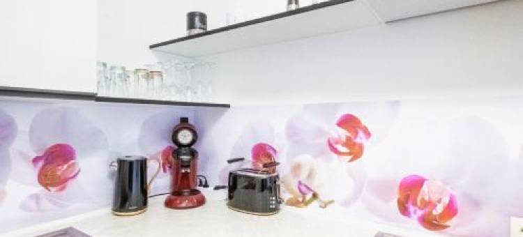 Black Forest Schwarzwaldblick Indoorpool Wifi Natur Komfort图片