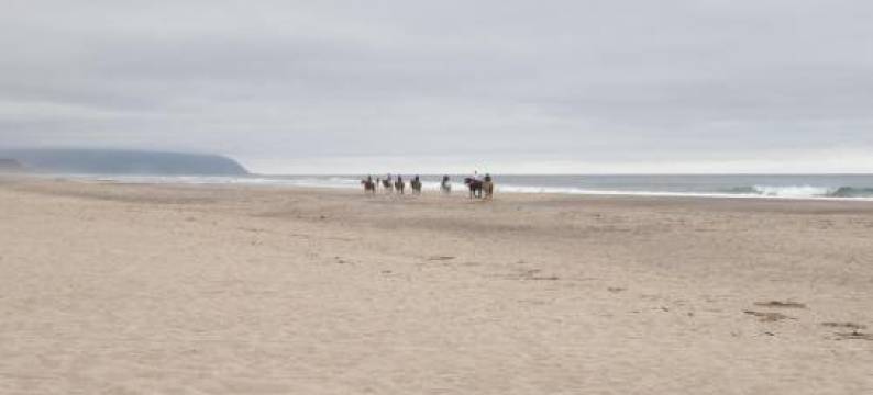 Crownover Cottage图片