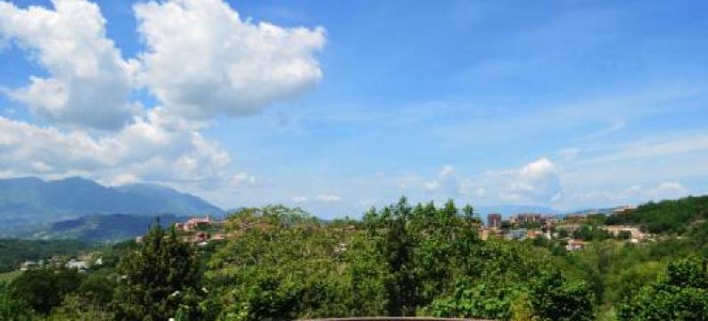 Casa Vacanze l'Agrifoglio图片