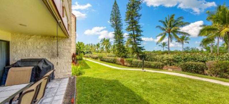 Newly Renovated Condo with Sup Paddle Boards and Golf Clubs Included图片