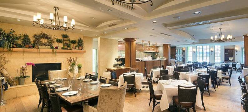 洛思加图斯酒店(Hotel Los Gatos)图片