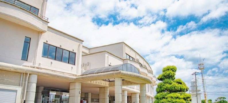 矶崎温泉 新白亚纪酒店(Hotel New Hakuaki)图片