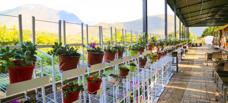 比顿咖啡产业文化园民宿图片